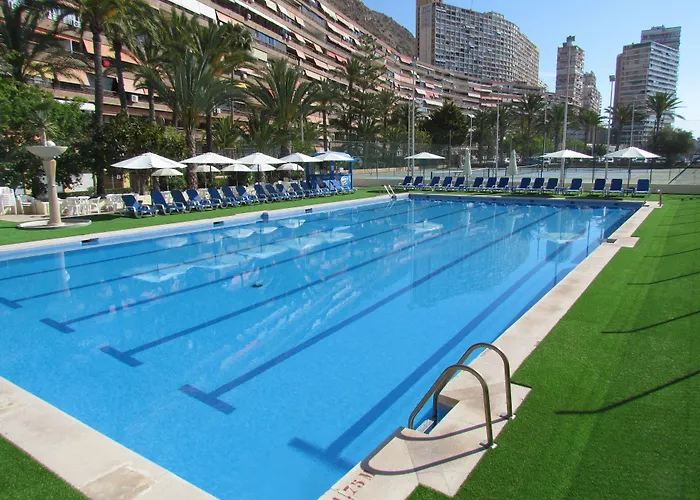 Albahia Alicante