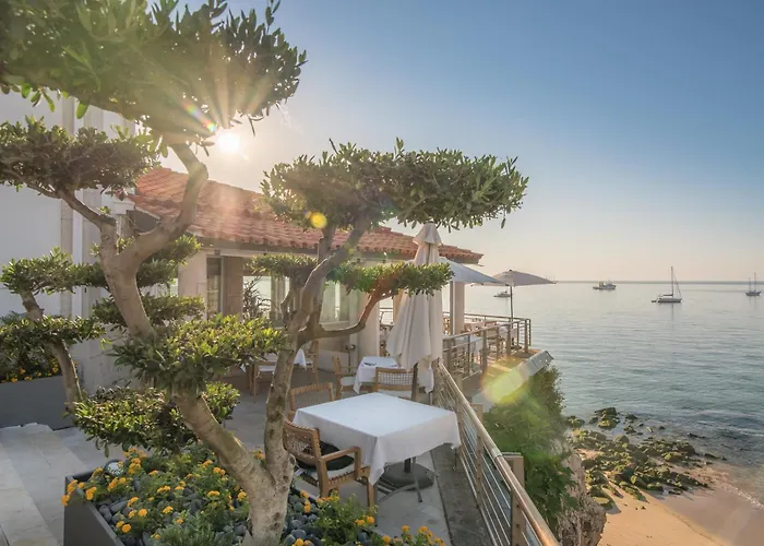 The Albatroz Hotel