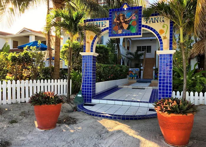 Blue Tang Inn - Beachfront Suites And Pool