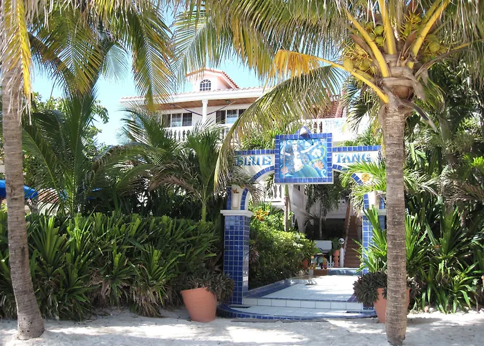 Central hotel: Blue Tang Inn - Beachfront Suites And Pool