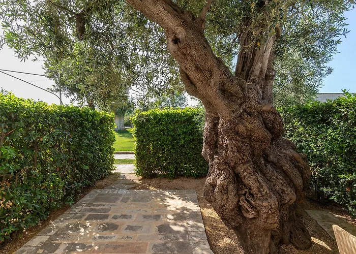 Casa vacanza: Masseria Torre Del Diamante