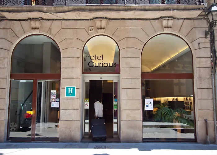 Hotel Curious By Alegria