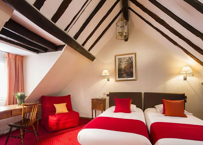 Hotel que admite mascotas: Hotel Saint Roch