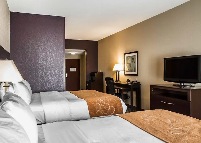 Comfort Suites Whitsett - Greensboro East