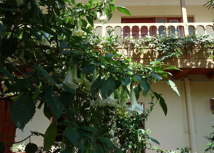  Kukuli Lodge B&B
