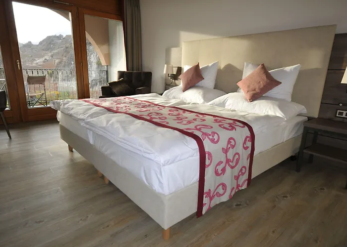 Hotel Des Vignes