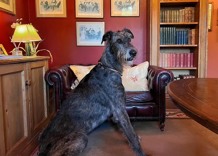 Cashel House Hotel