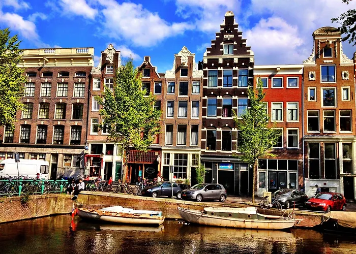 Animaux admis Tulip Of Amsterdam