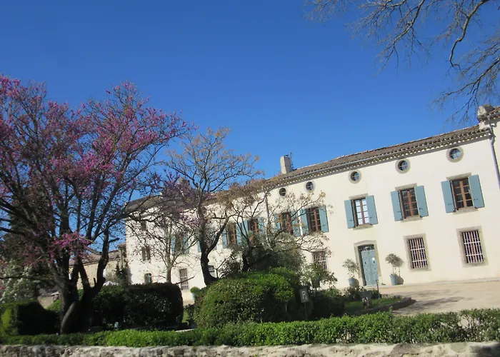 Logis Hotel Chateau De Palaja
