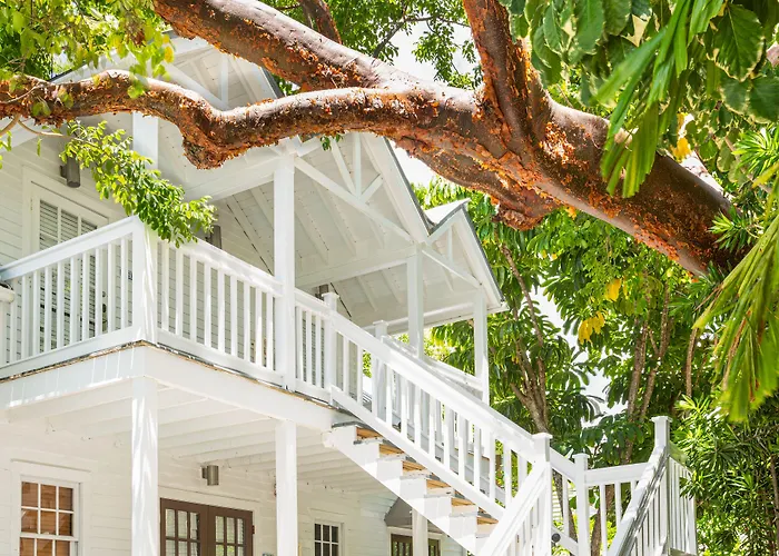 Nyah - Adult Exclusive