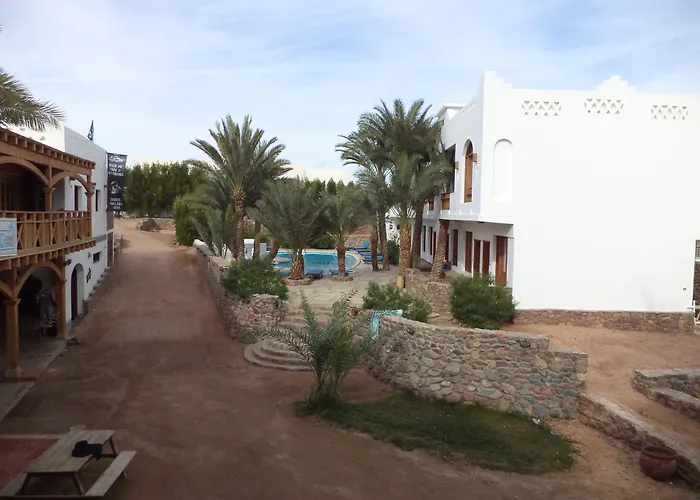  Dahab Divers