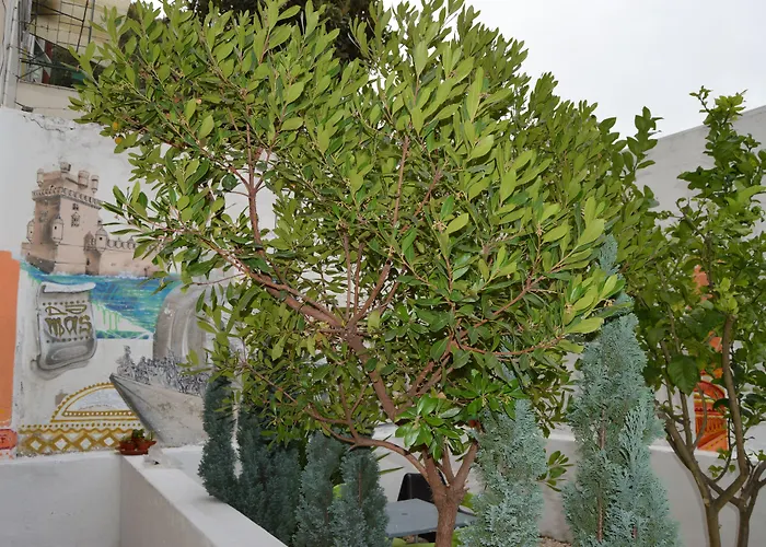 Terrace Lisbon
