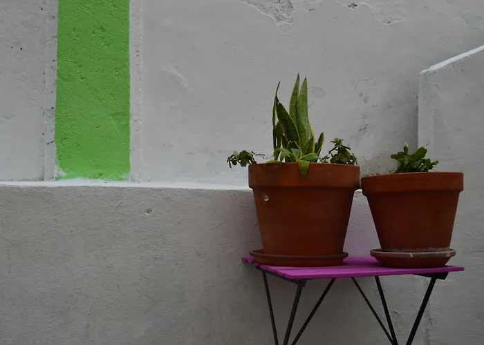 Terrace Lisbon