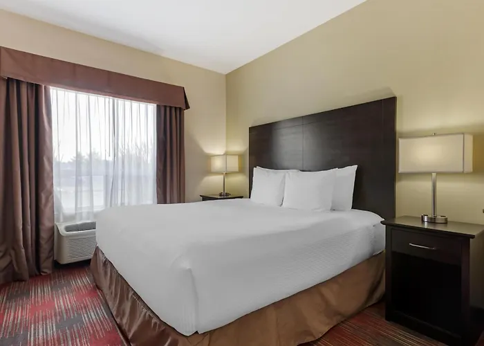 Pet Friendly hotel: Best Western Plus Red Deer Inn & Suite