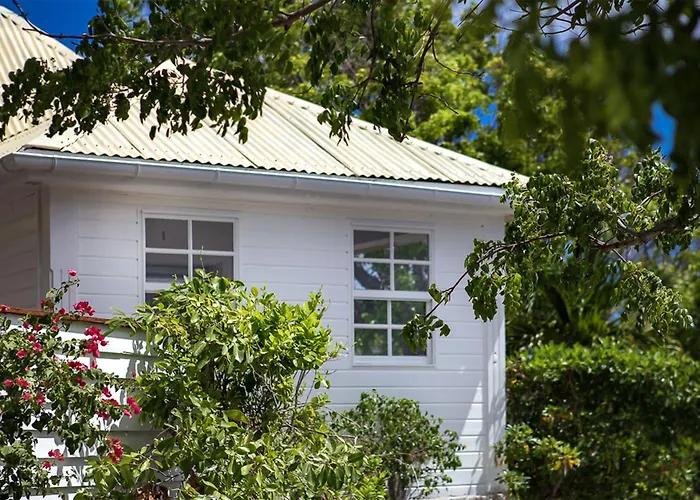 Gyp Sea Saint Barth