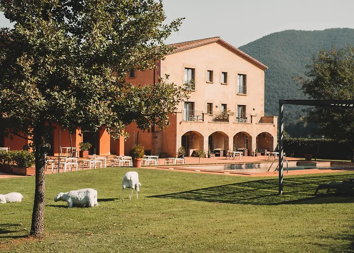 Hotel Vall De Bas