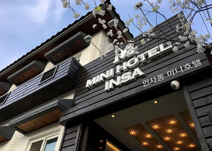 Mini Insa
