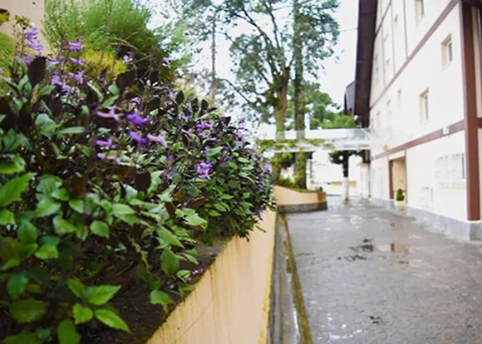 Family Hotel: Pousada Italia Moderna