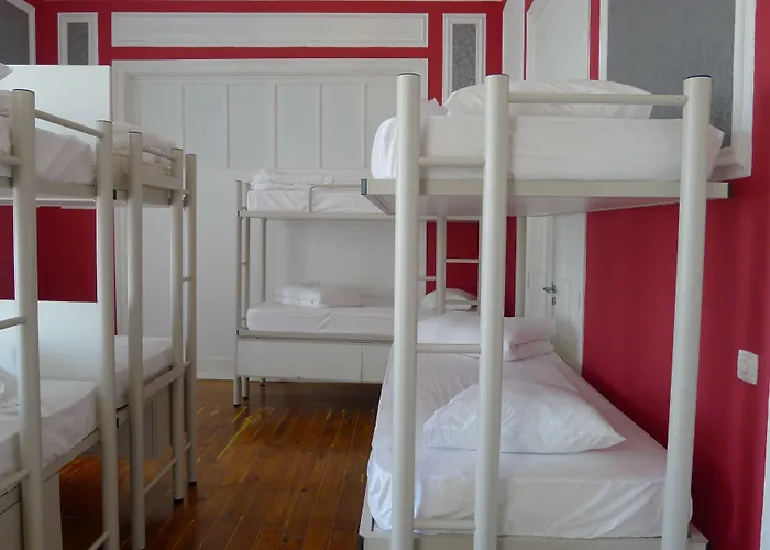 Hôtel accueillant les animaux: Safestay Lisbon Bairro Alto