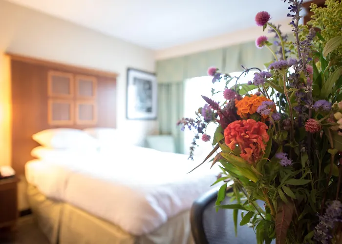 Motel: Soho 54