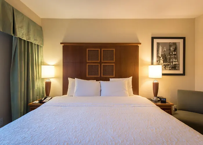 Motel: Soho 54