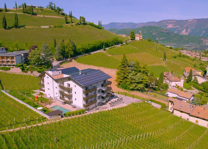  Vineus Tramin