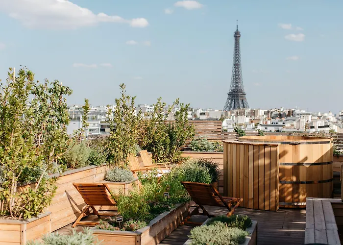 Animaux admis Brach Paris - Evok Collection