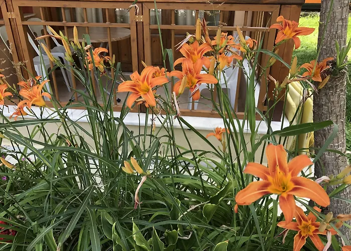 Aparthotel: Nar Apart Hotel