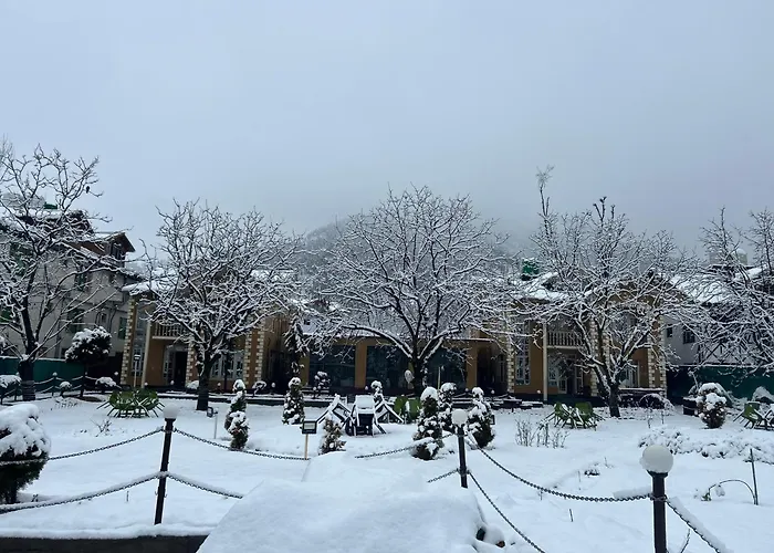 Lidder View The Best River Side Resort In Pahalgam