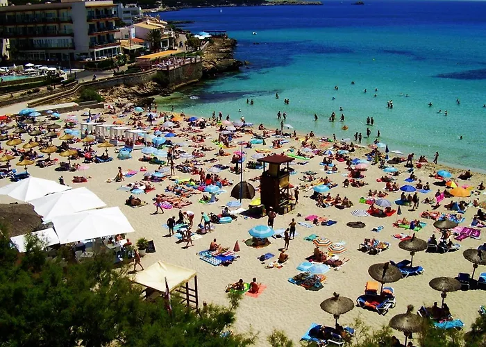 Perros hoteles Zhimbad B&B By The Sea