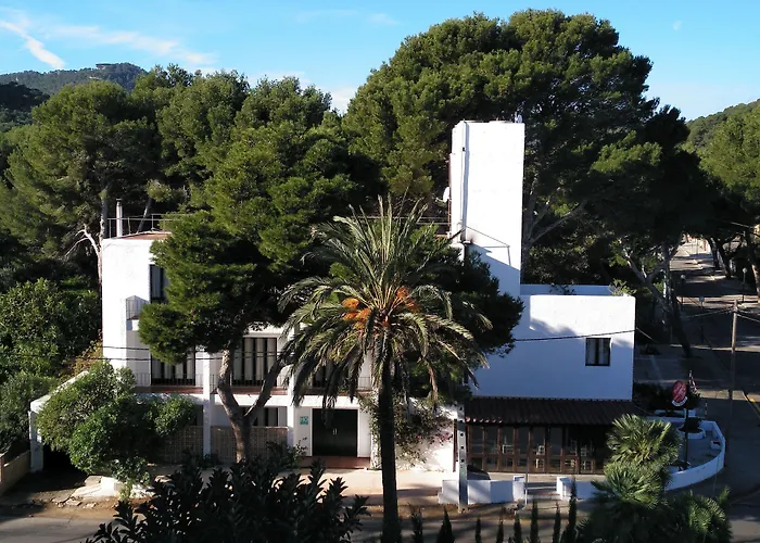 Perros hoteles Zhimbad B&B By The Sea