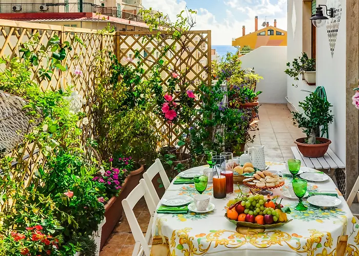 Roof Garden