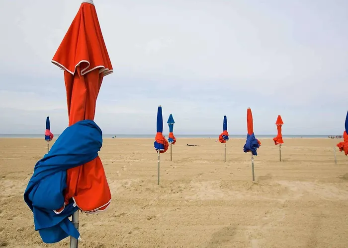 Hôtel accueillant les animaux: Hotel Ibis Budget Deauville
