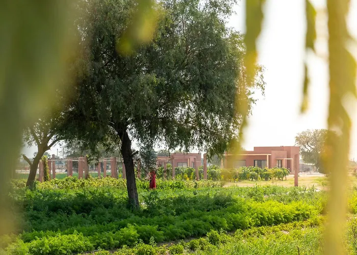 Mharo Khet Jodhpur