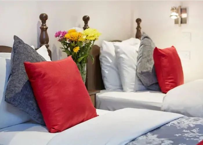 Guest house: Conifers Guest House