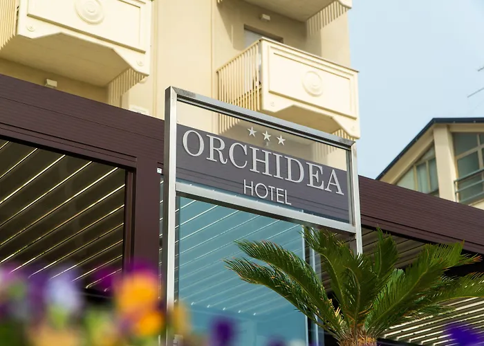 Orchidea