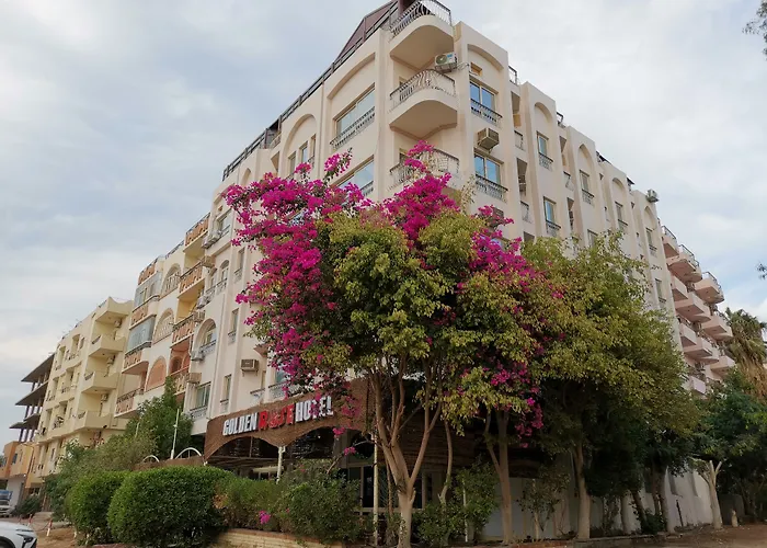 Hotel de praia: Golden Rose Hotel