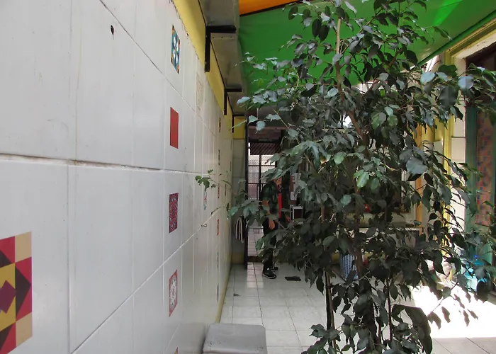Hospedaje La Rana