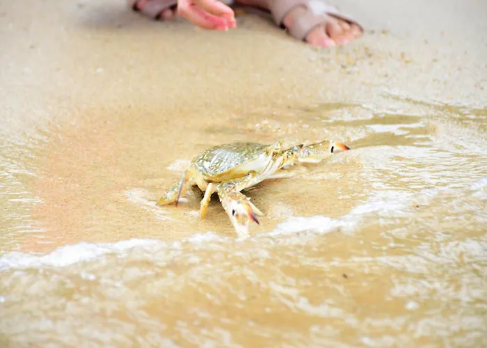 Sheraton Samui Resort