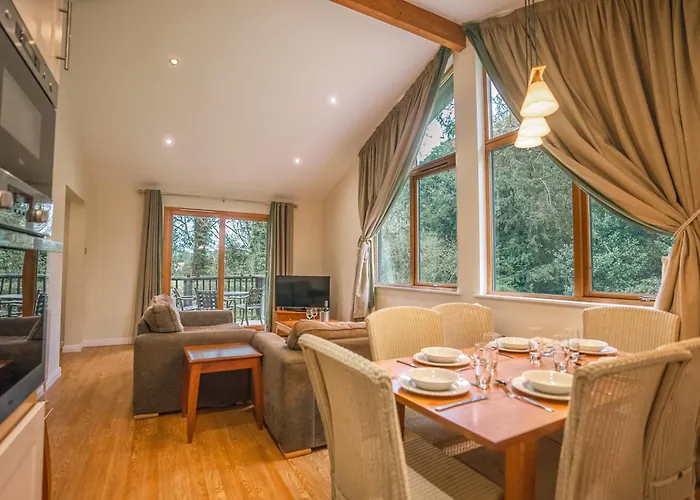 Ping Pong Hotel: Broome Park Hotel