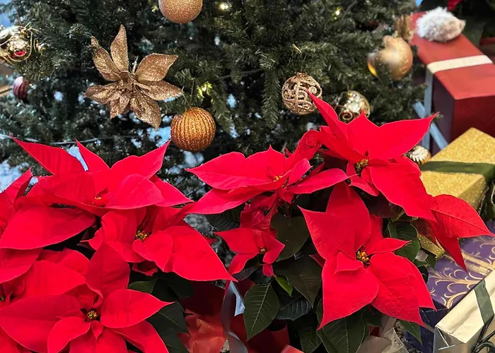 Shibuya Creston Hotel