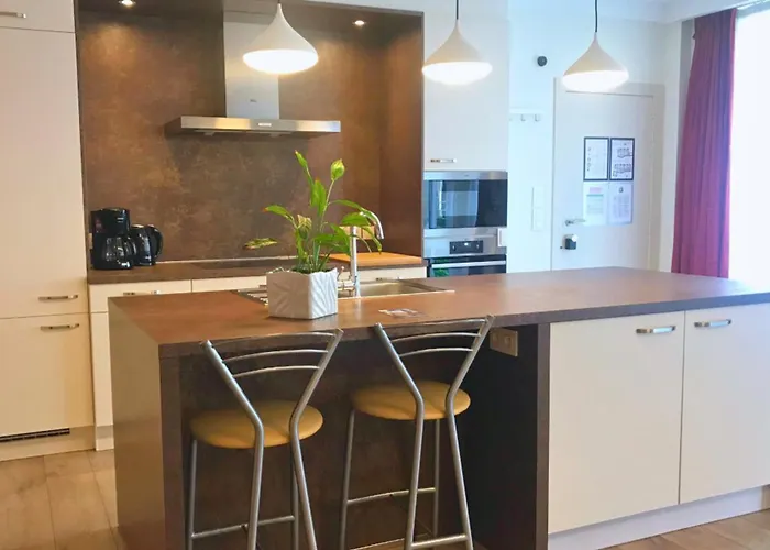 All Vacation Rentals De Drie Koningen