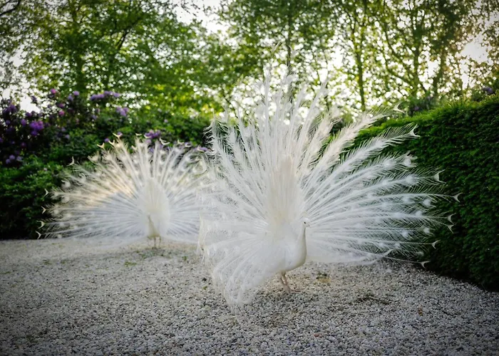 Hotel: Kasteeltje Hattem