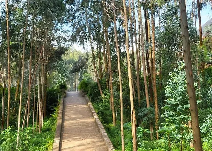 Ubucuti Gorilla Lodge