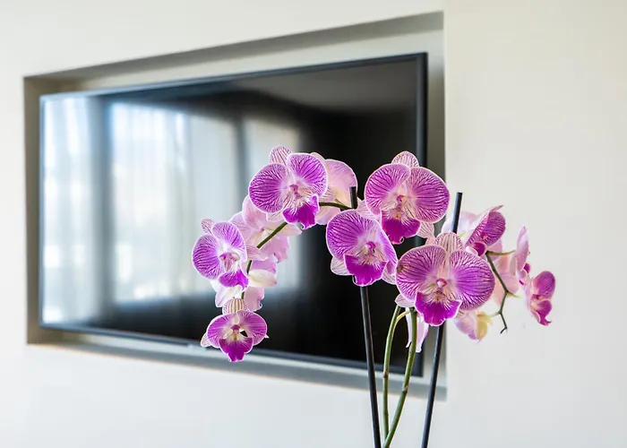 Jm Suites Eco-Friendly