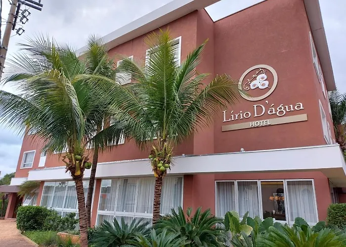 Lirio D'Água