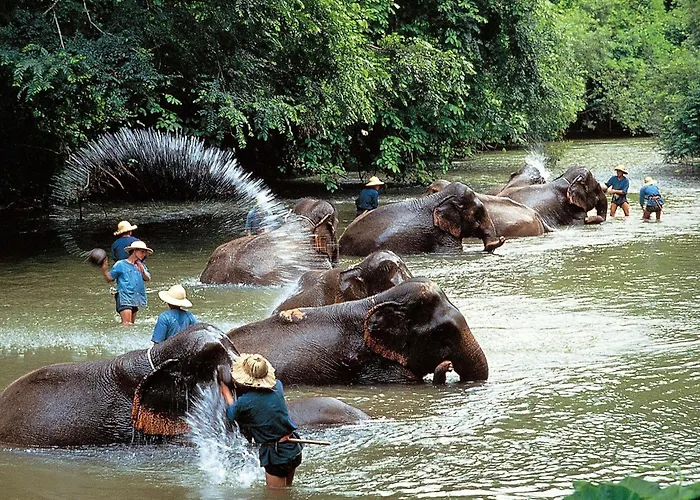 Movenpick Suriwongse Hotel Chiang Mai
