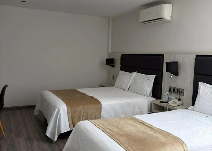 Pet Friendly hotel: Hotel Nube, Puebla Centro