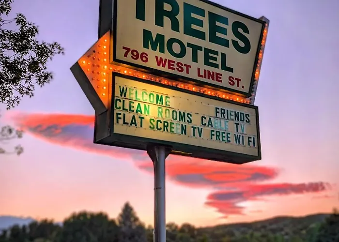 Motel: Trees Motel
