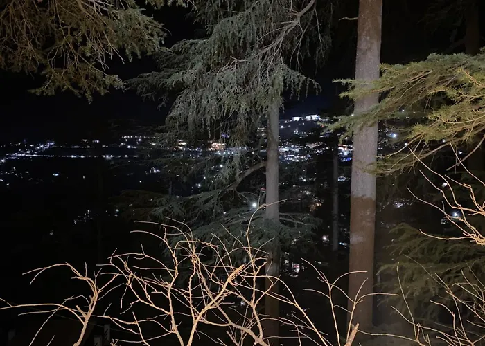 Deodar Retreat - S Royale - Near Mall Road- Free Pickup From Railway Station